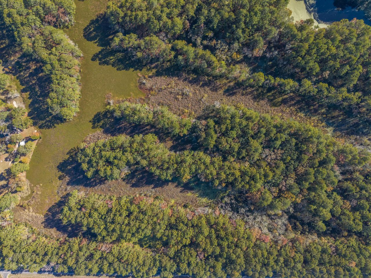 00 S Hwy 17a Photo 22