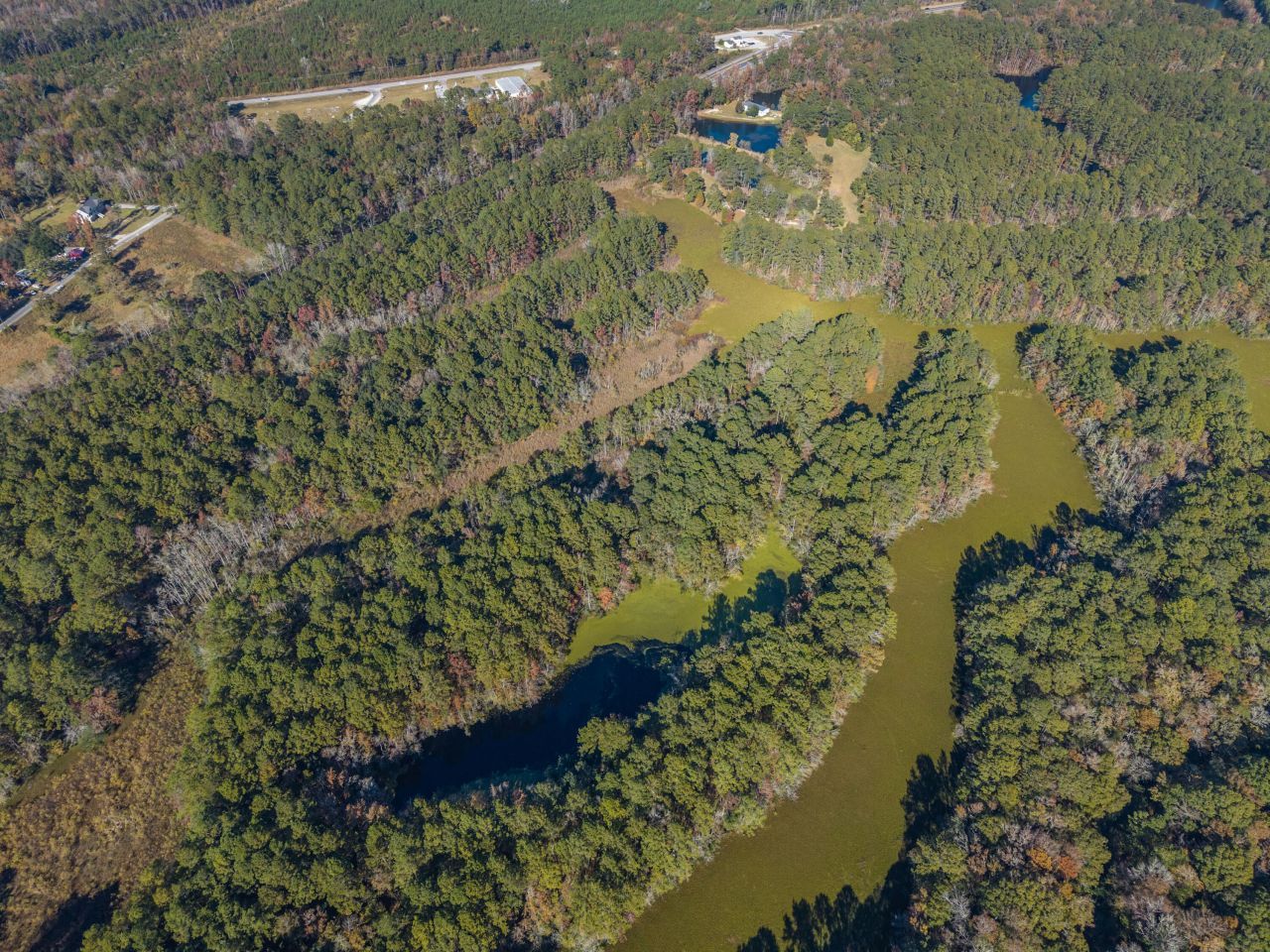 00 S Hwy 17a Photo 28