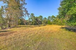 00 S Hwy 17a photo 4