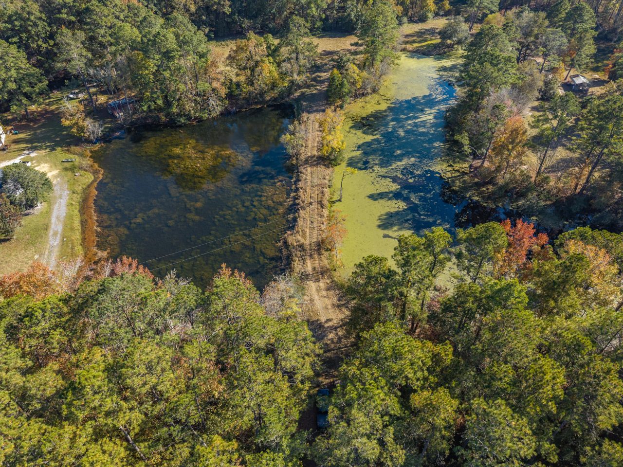 00 S Hwy 17a Photo 41