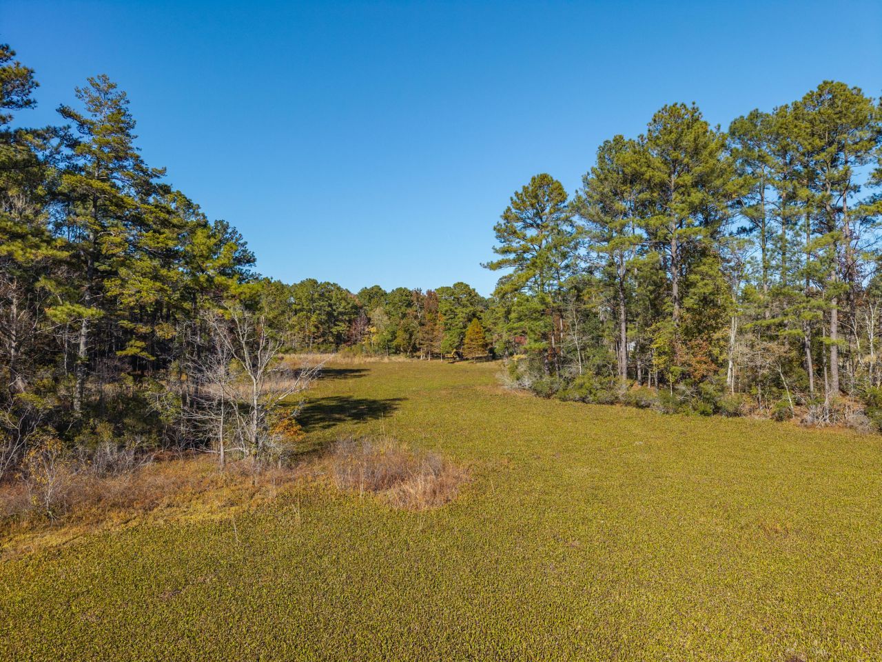 00 S Hwy 17a Photo 45