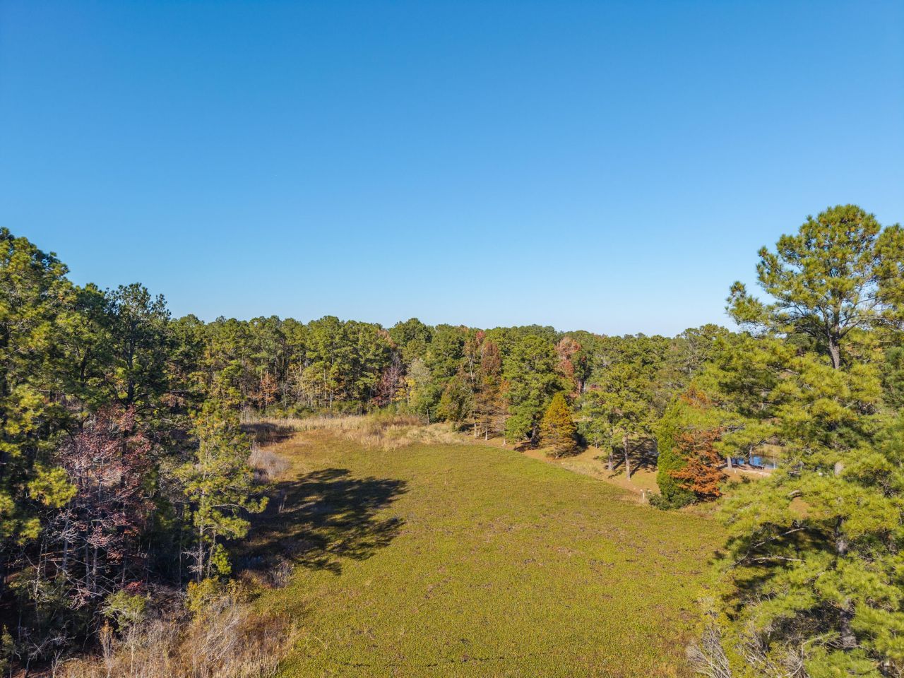 00 S Hwy 17a Photo 46