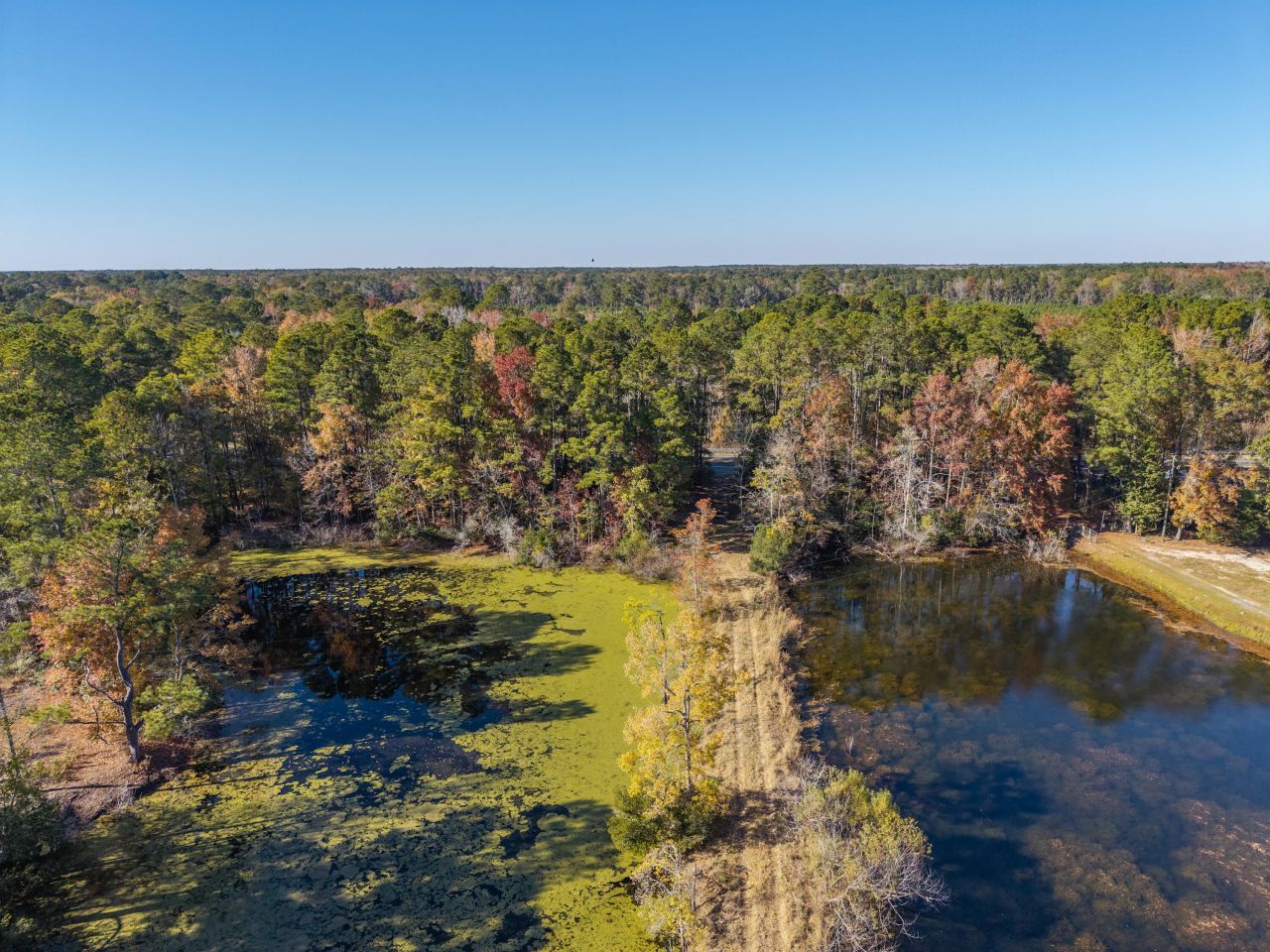 00 S Hwy 17a Photo 49