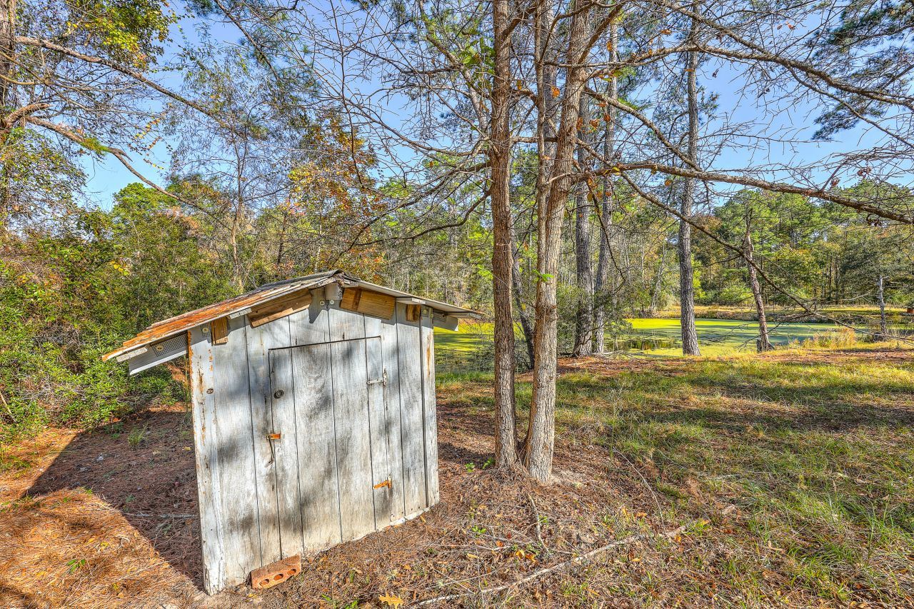 00 S Hwy 17a Photo 7