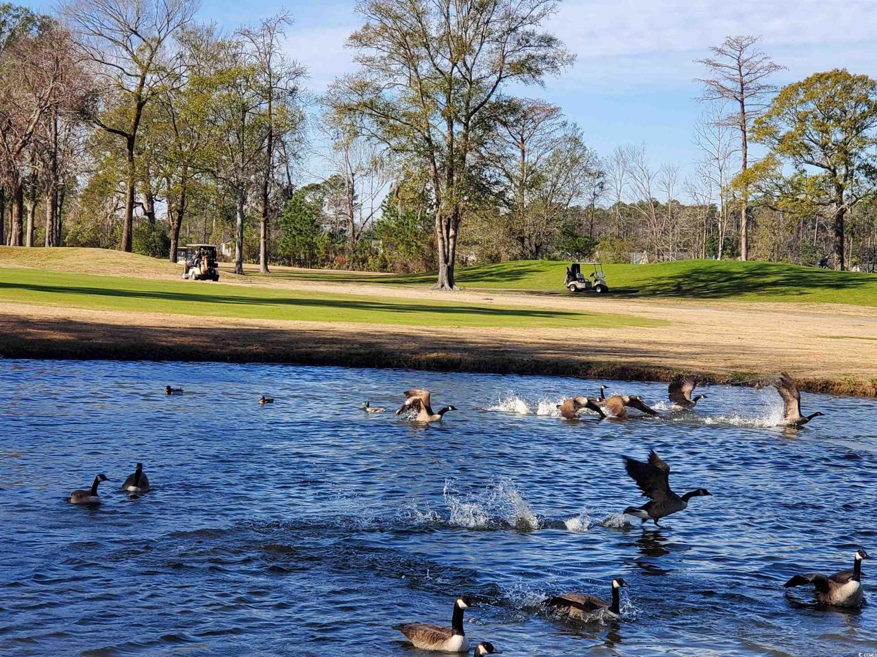 533 White River Dr. Photo 23