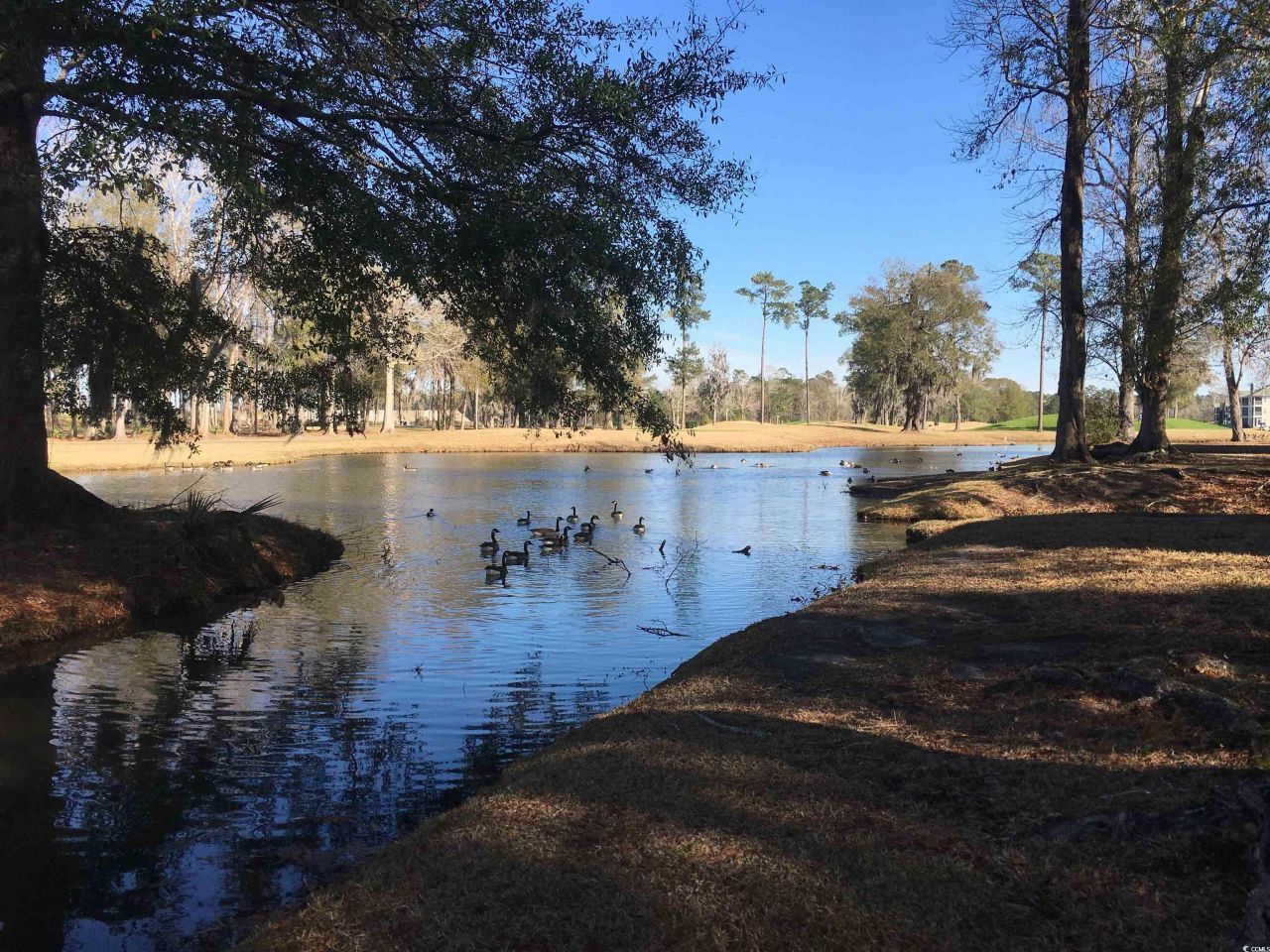 533 White River Dr. Photo 24