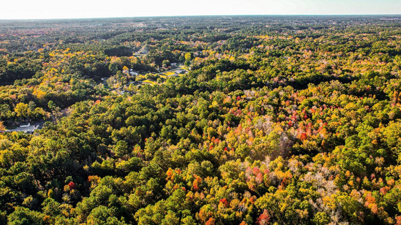 240 Groomsville Road Photo 100