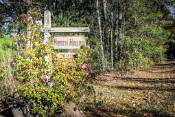 240 Groomsville Road photo 4