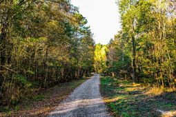 240 Groomsville Road photo 4