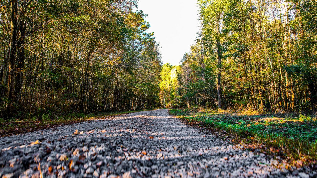 240 Groomsville Road Photo 4