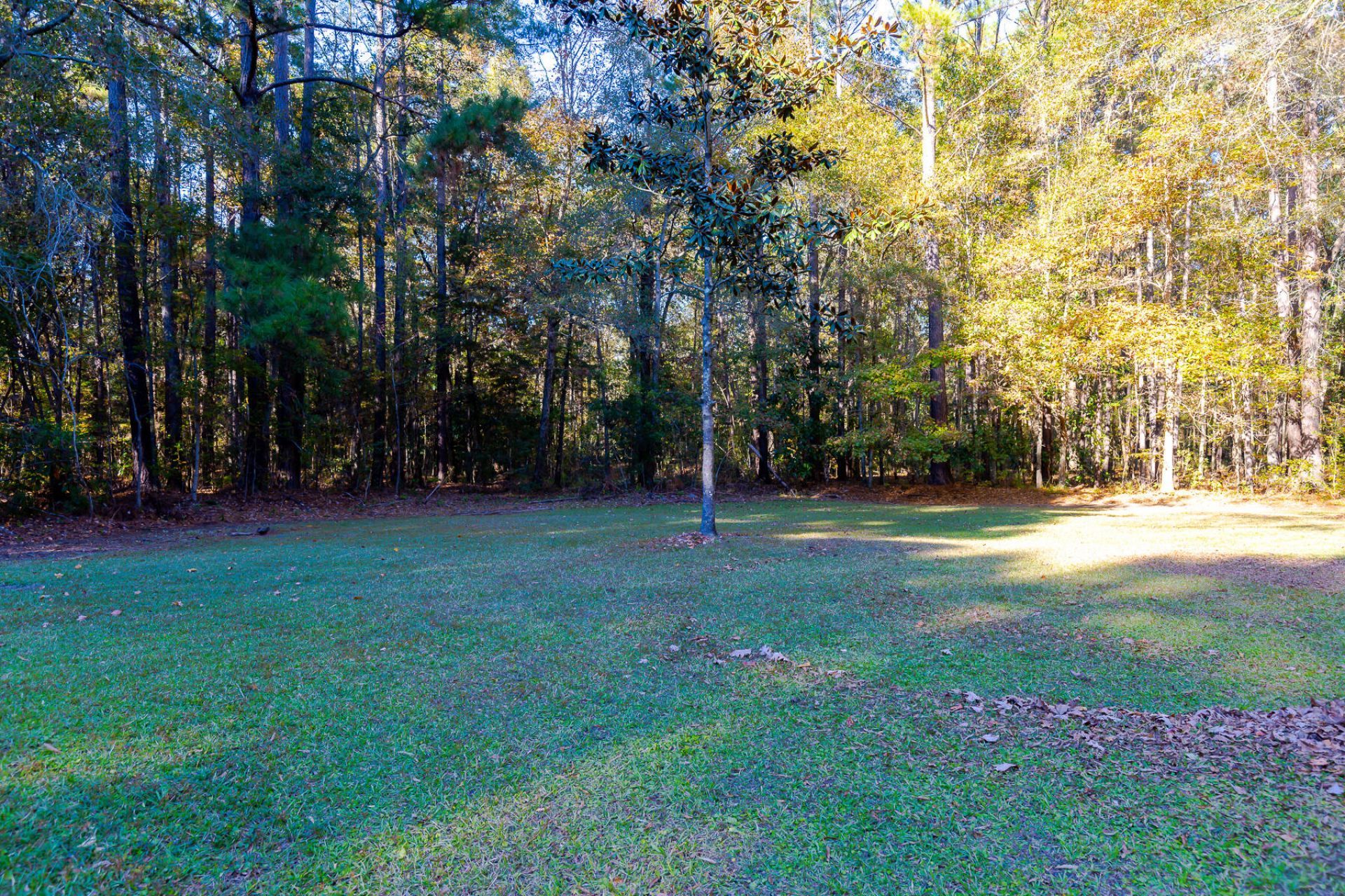 240 Groomsville Road Photo 48