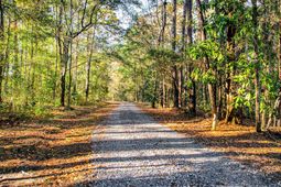 240 Groomsville Road photo 4