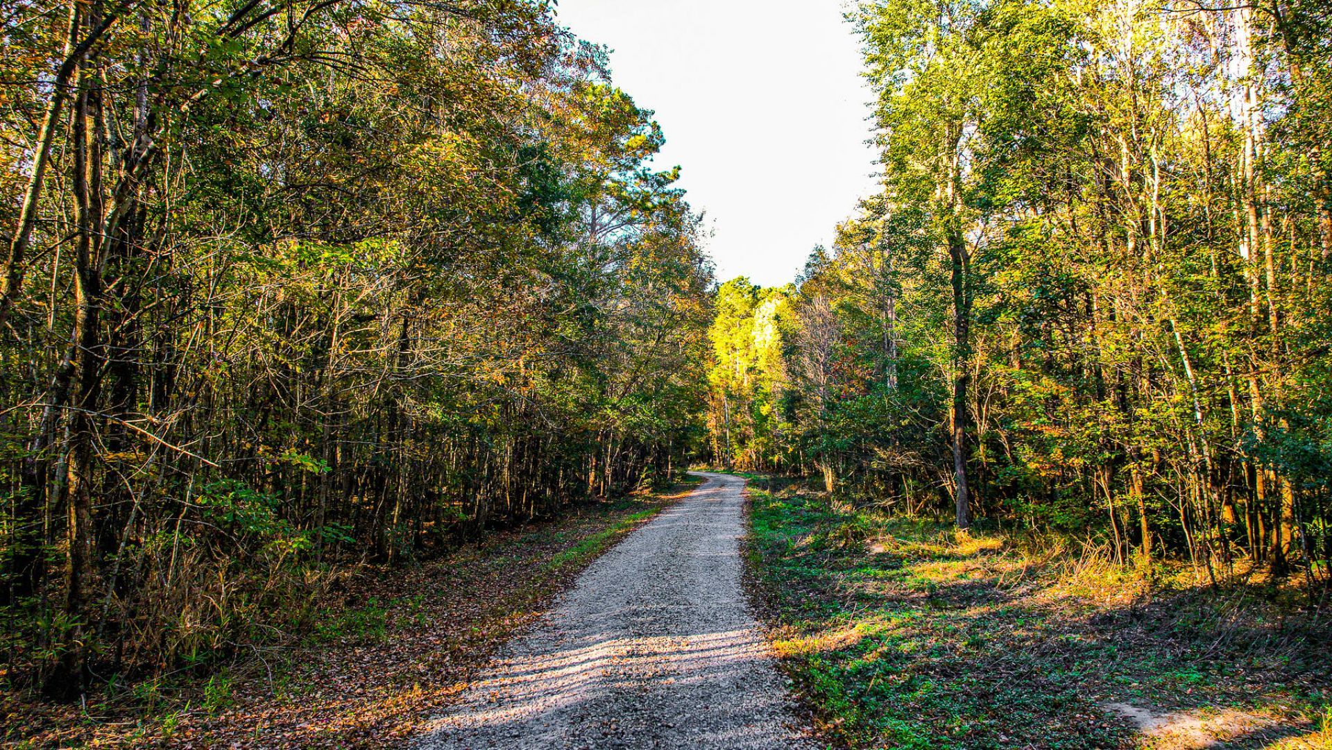 240 Groomsville Road Photo 64