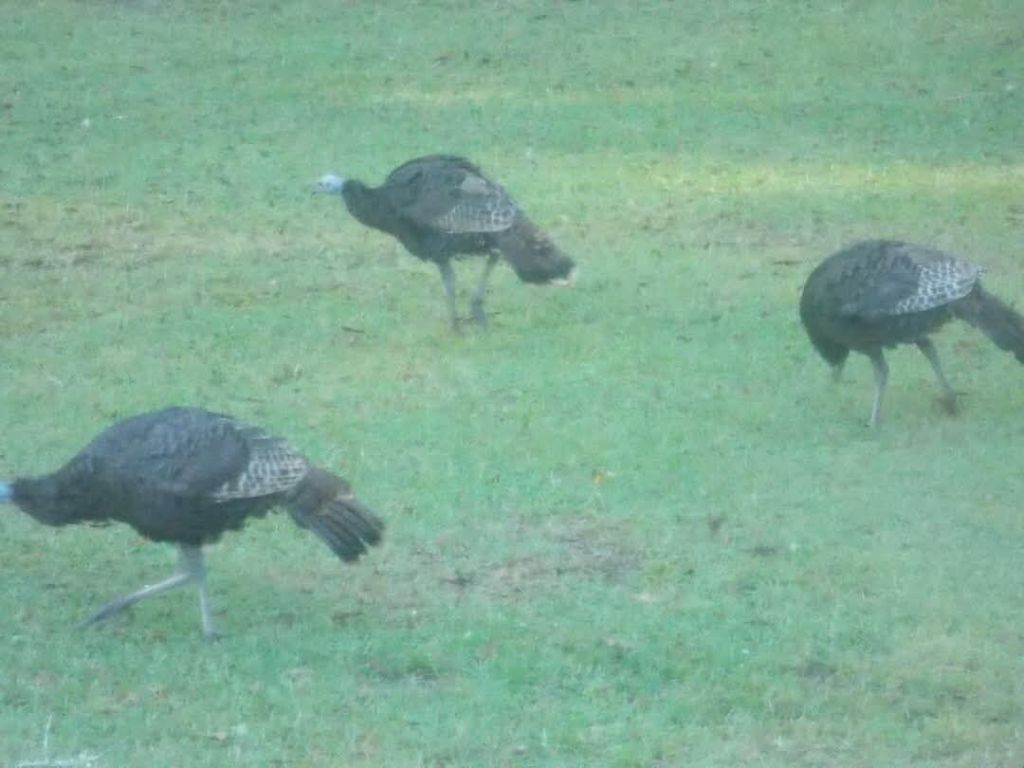 240 Groomsville Road Photo 73