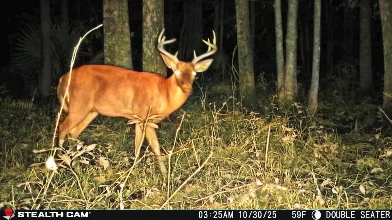 240 Groomsville Road Photo 74