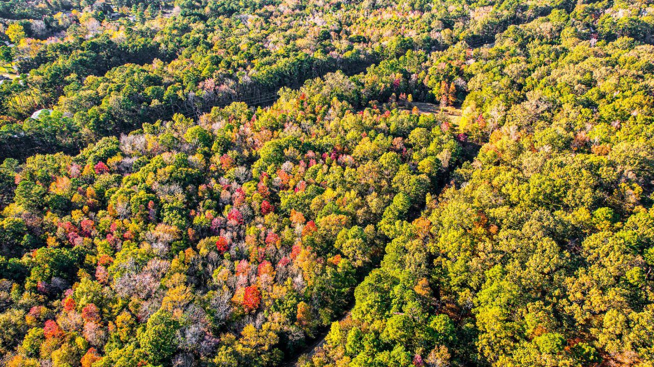 240 Groomsville Road Photo 96