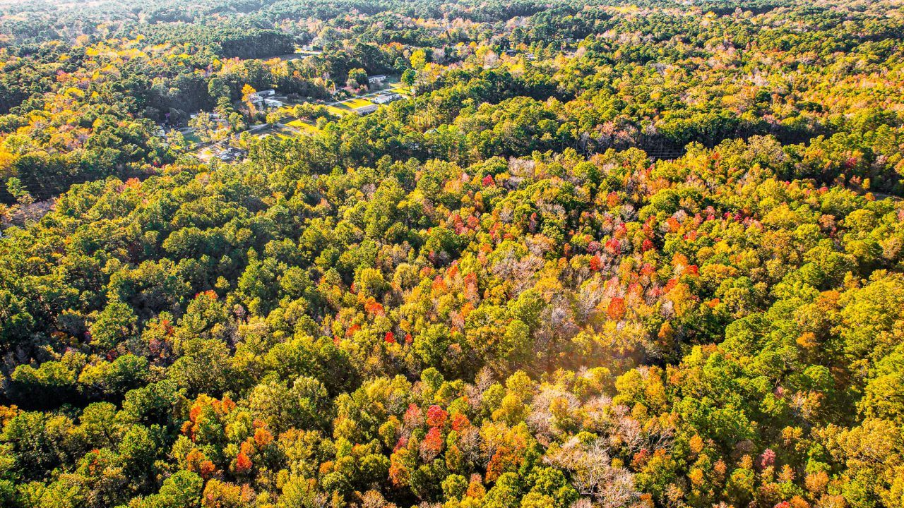 240 Groomsville Road Photo 97