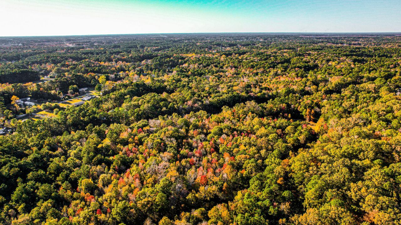 240 Groomsville Road Photo 98