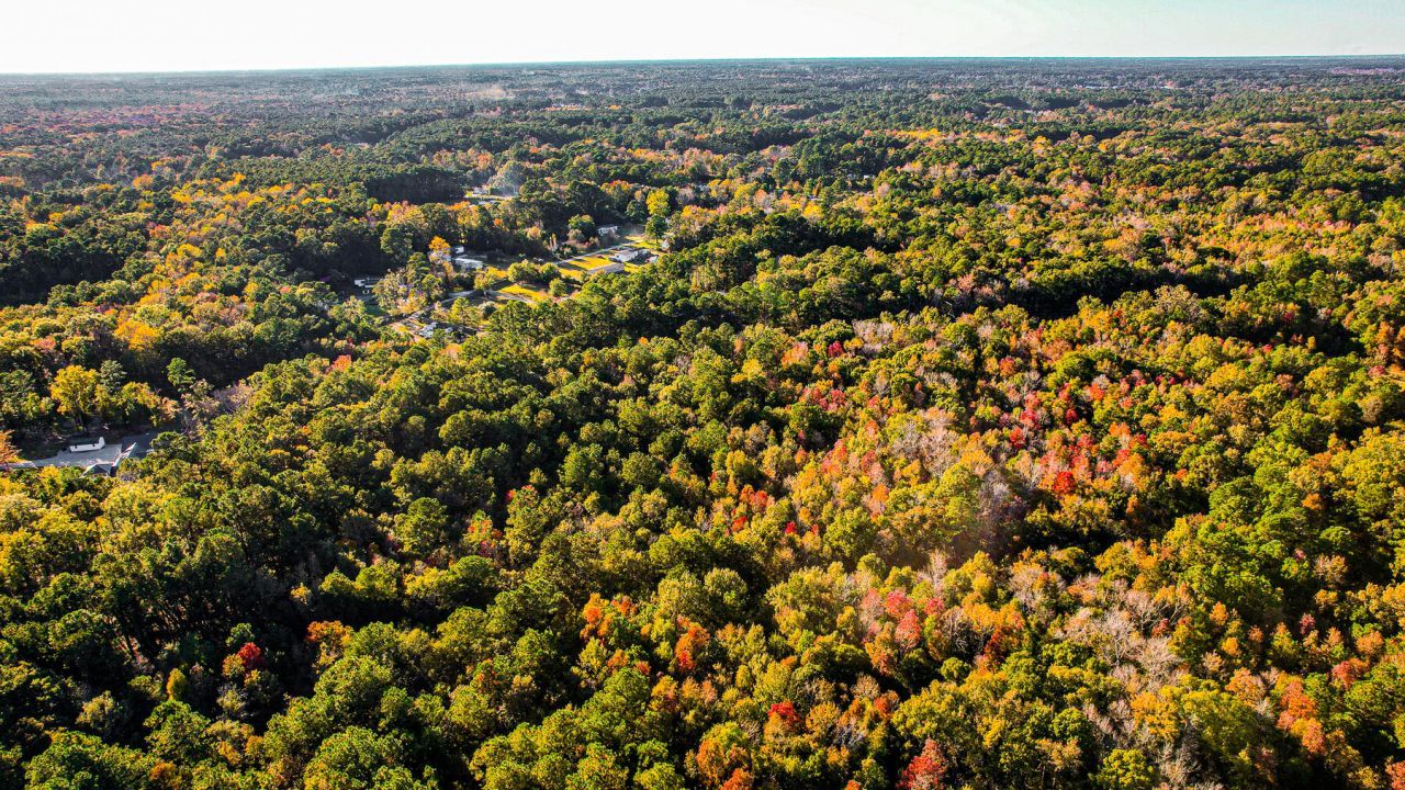 240 Groomsville Road Photo 99