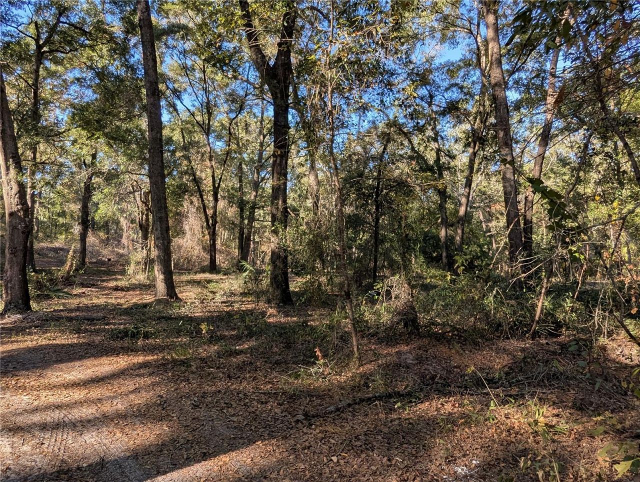 4739 SE 60th Avenue, Trenton, FL 32693 Photo