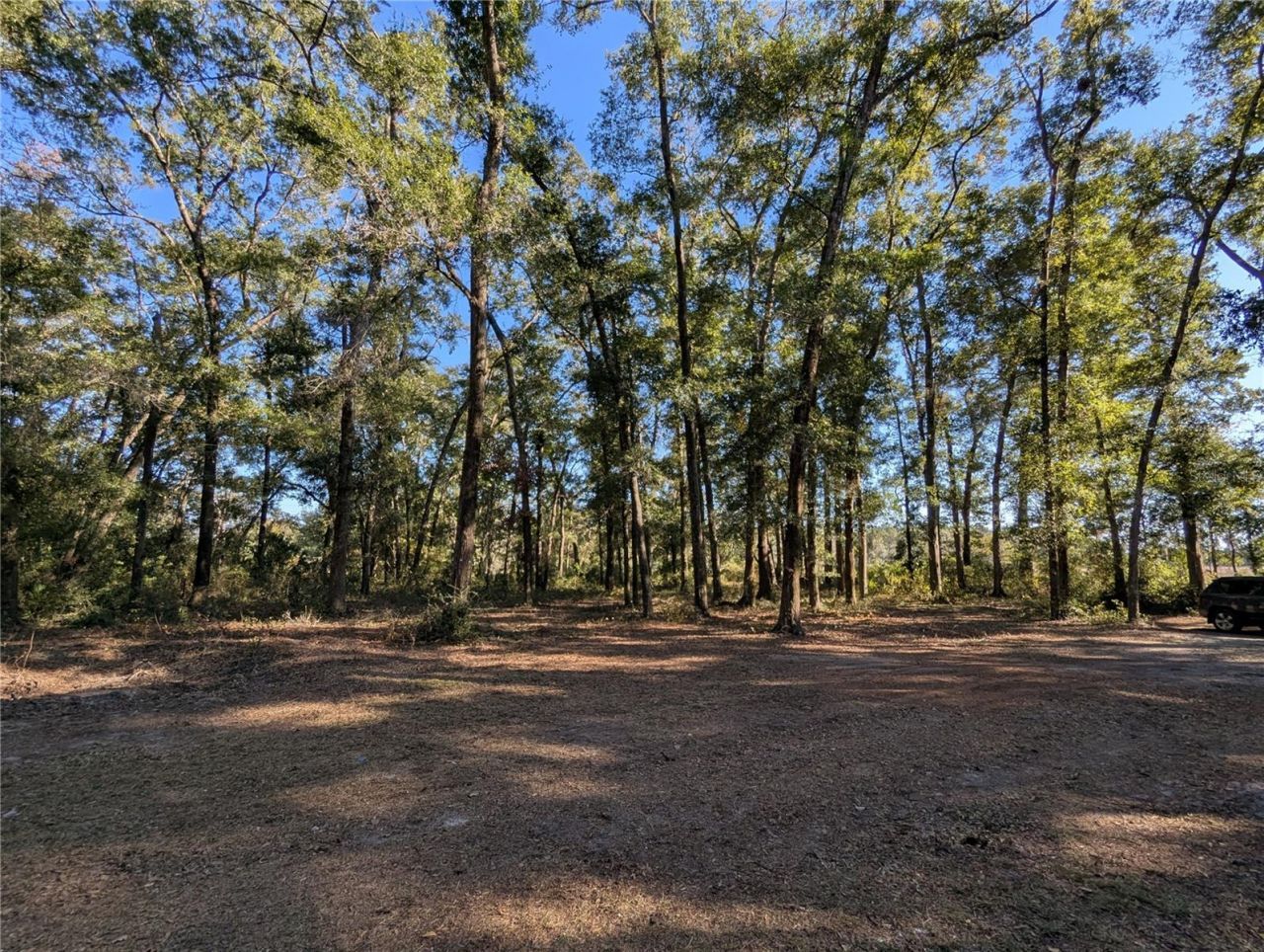 4739 SE 60th Avenue, Trenton, FL 32693 Photo