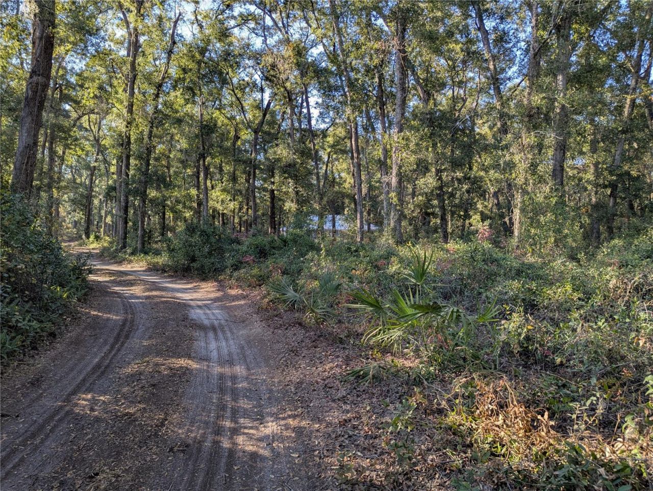 4739 SE 60th Avenue, Trenton, FL 32693 Photo