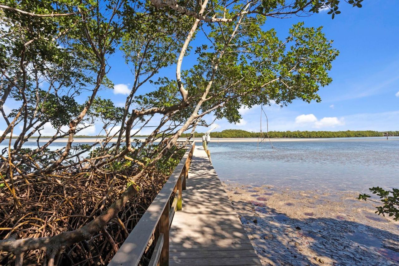 1501 75th Circle Ne, Saint Petersburg, FL 33702 Photo