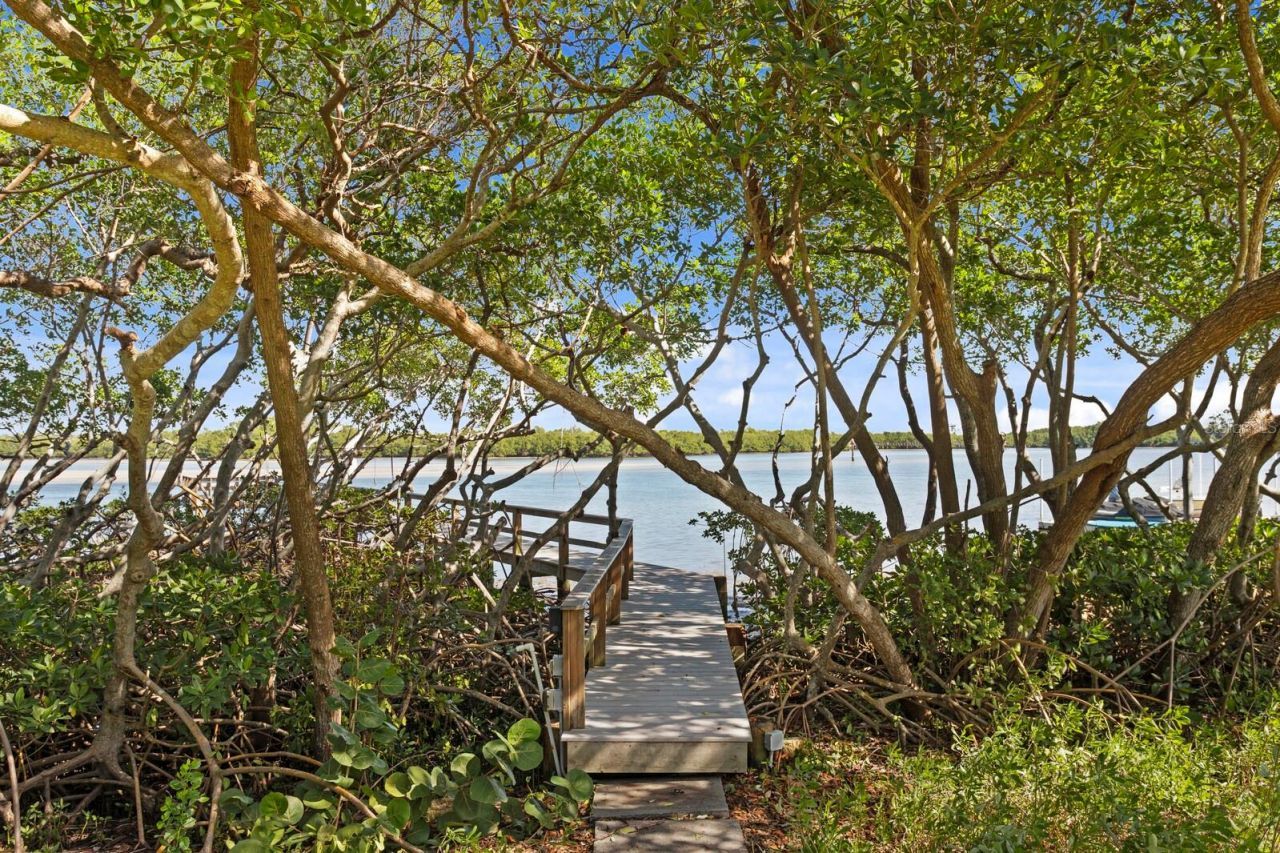 1501 75th Circle Ne, Saint Petersburg, FL 33702 Photo