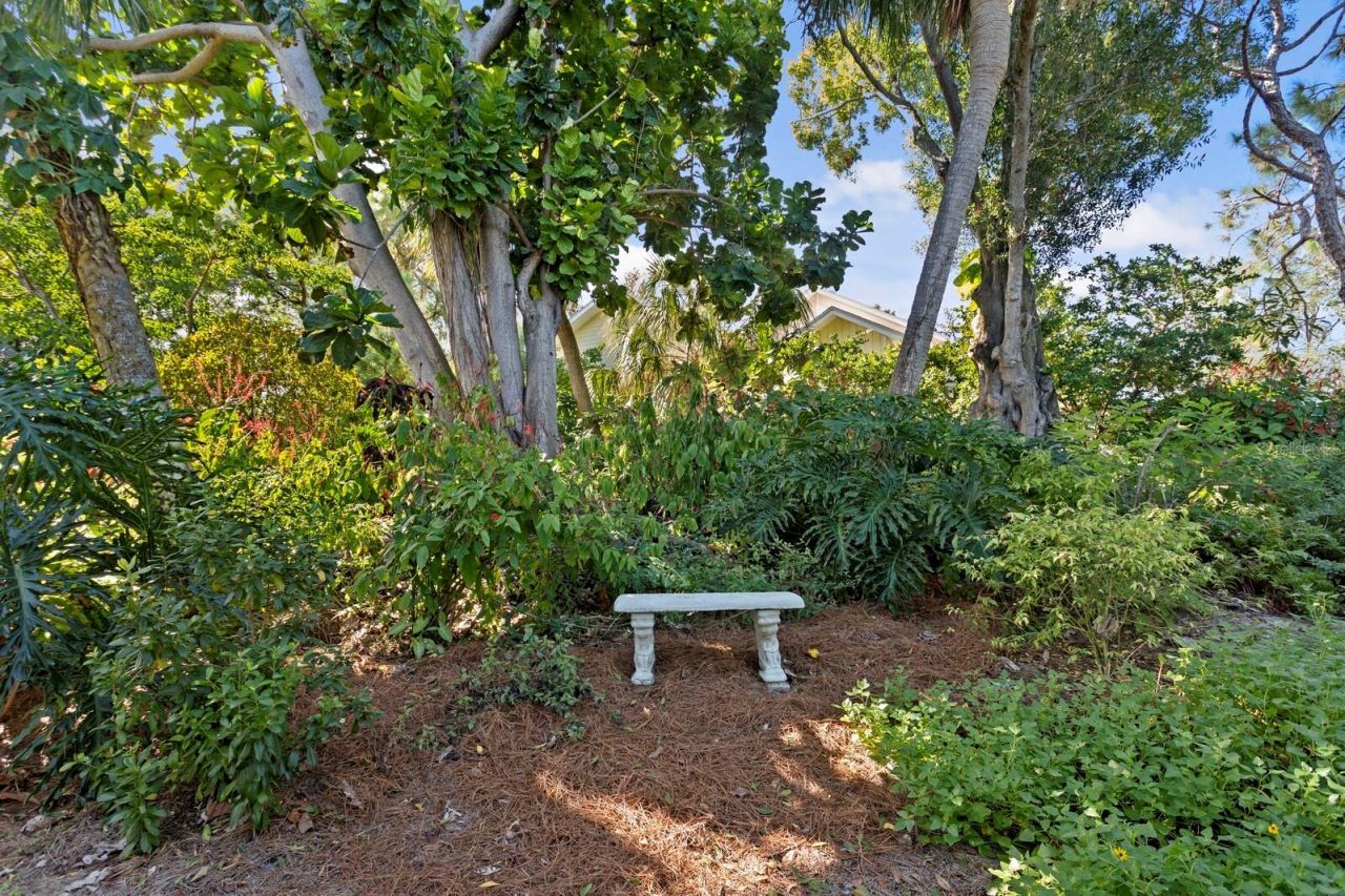 1501 75th Circle Ne, Saint Petersburg, FL 33702 Photo