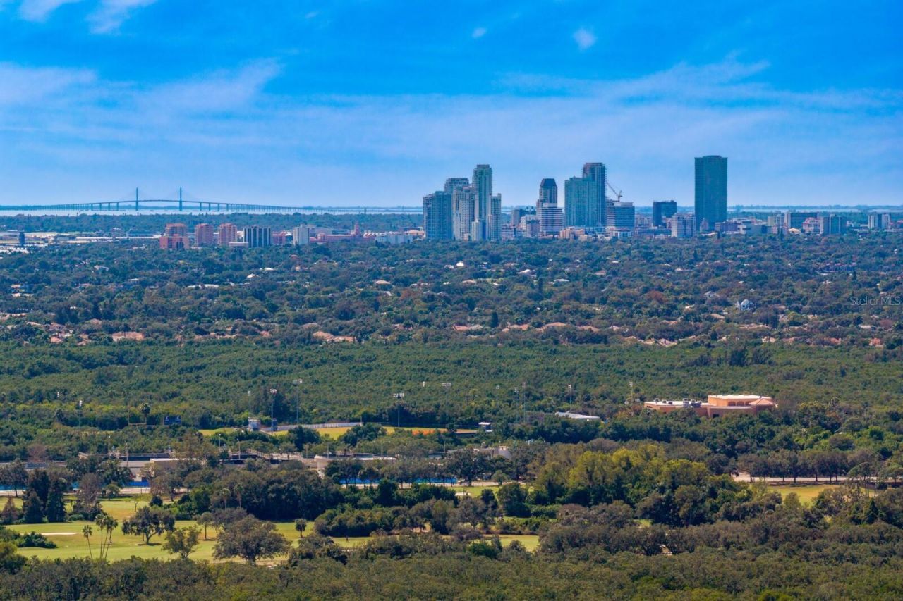 1501 75th Circle Ne, Saint Petersburg, FL 33702 Photo