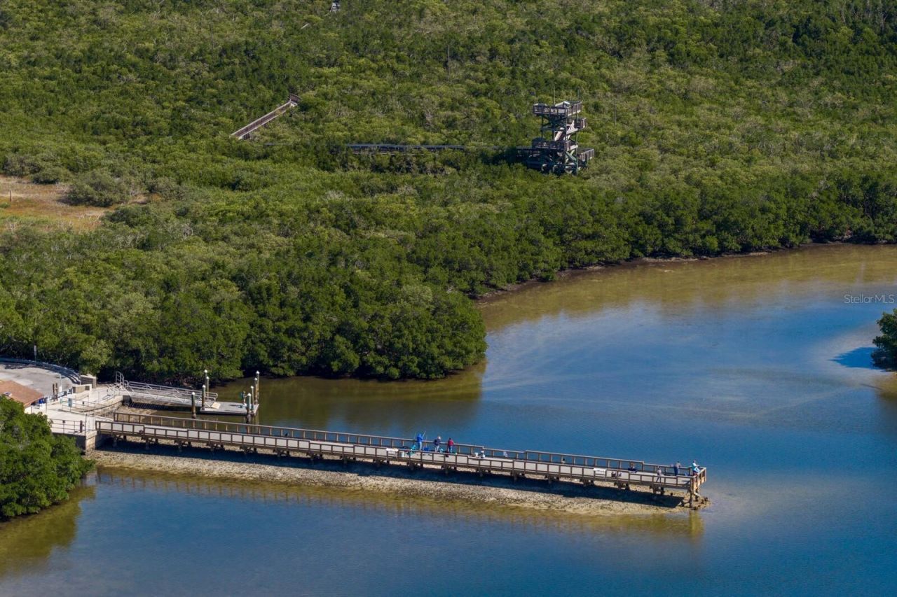 1501 75th Circle Ne, Saint Petersburg, FL 33702 Photo