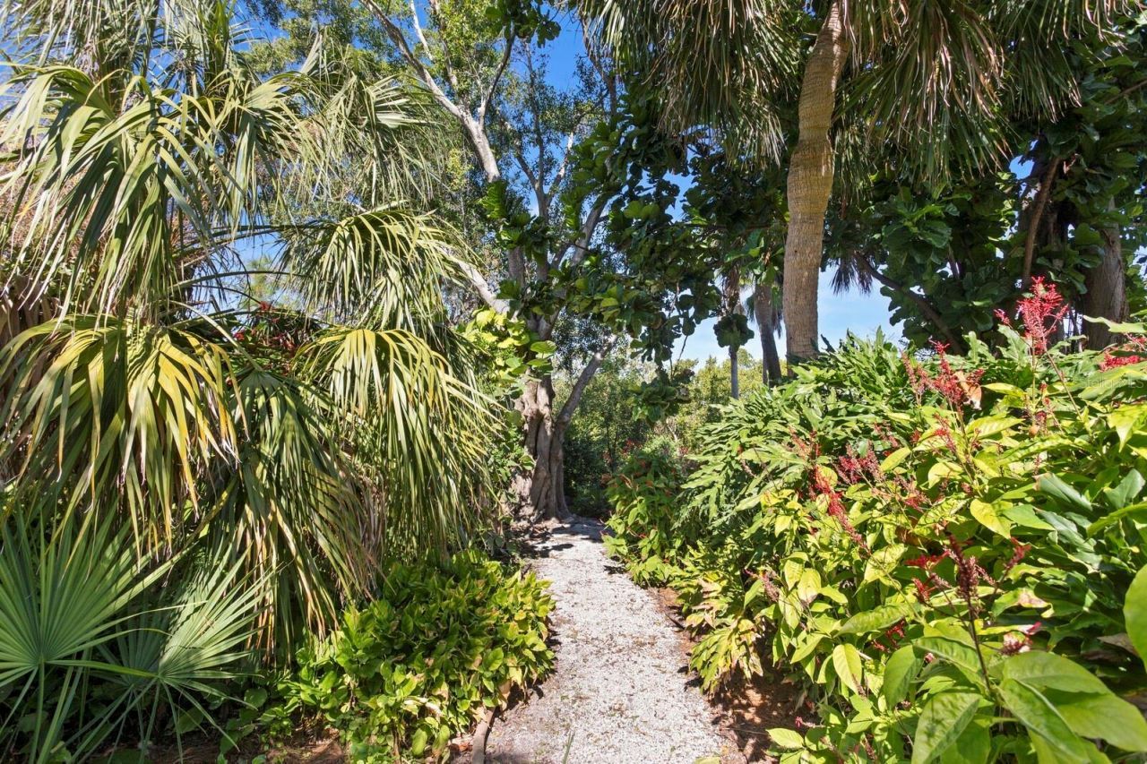 1501 75th Circle Ne, Saint Petersburg, FL 33702 Photo