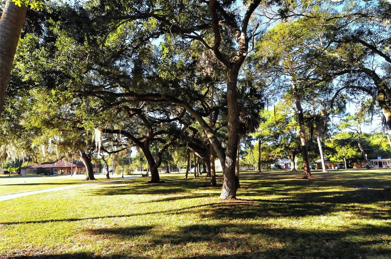 640 N Osprey Avenue, Sarasota, FL 34236 Photo