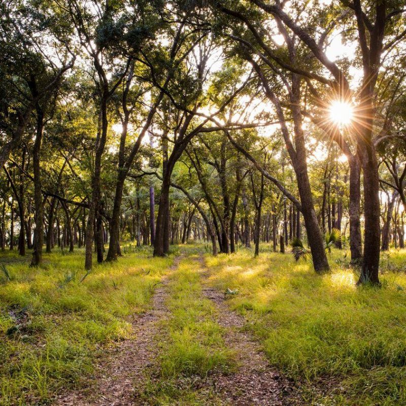 561 Spiral Ramp Court Photo 42