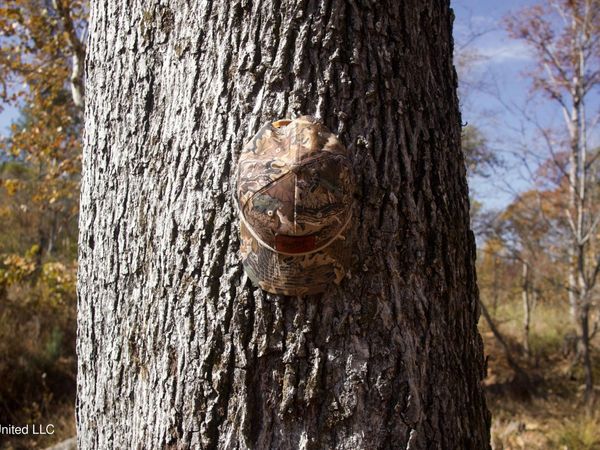 Off Cr 115, Carrollton, MS 38917