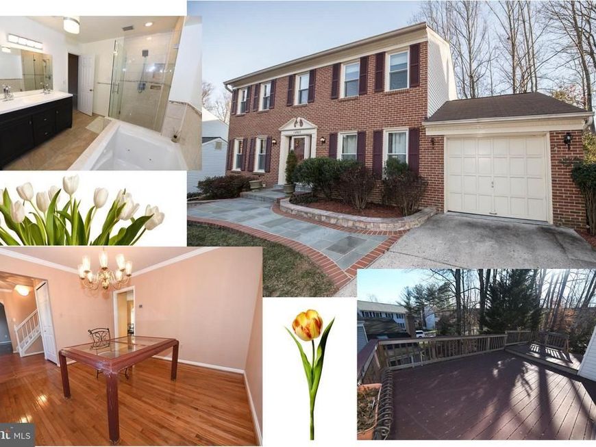 14903 Running Ridge Lane, Silver Spring, MD 20906 Main Photo