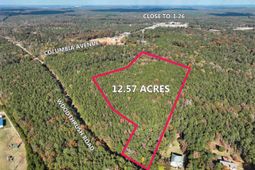 0 Woodthrush  photo 4