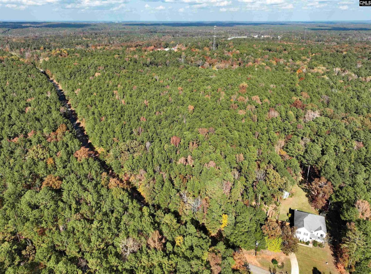 0 Woodthrush  Photo 7