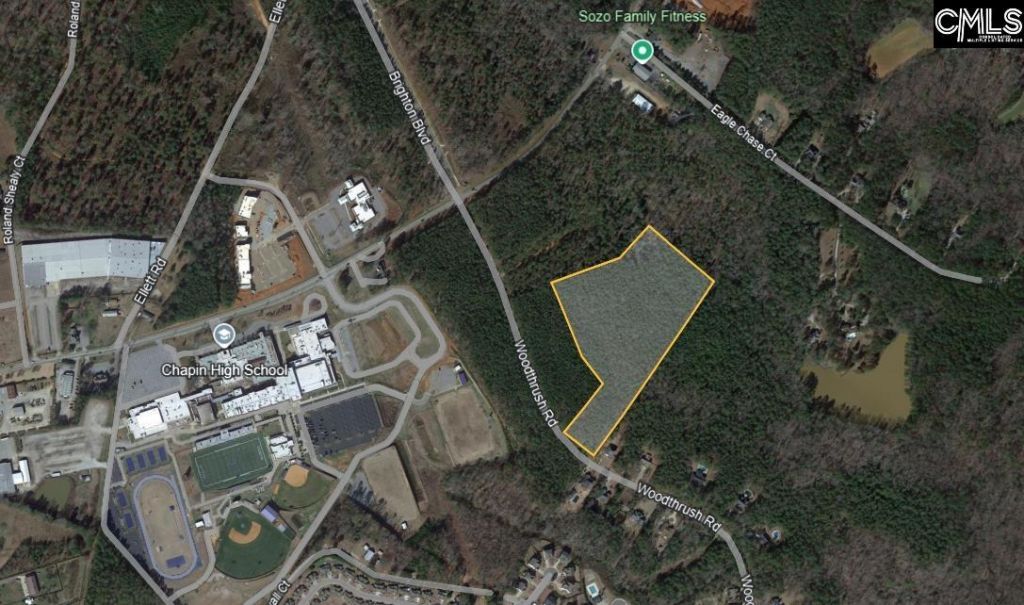 0 Woodthrush  Photo 8