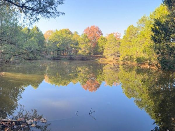 599 Highway 58, Cave City, AR 72521