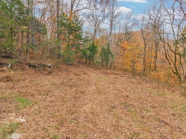 0 Ensor Hollow Rd , Buffalo Valley, TN 38548