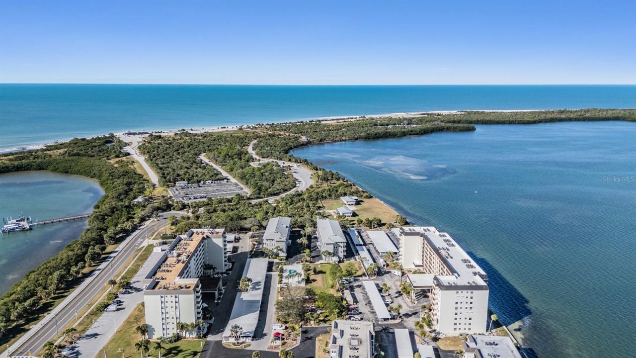 9 Haig Place, Unit 104, Dunedin, FL 34698 Photo