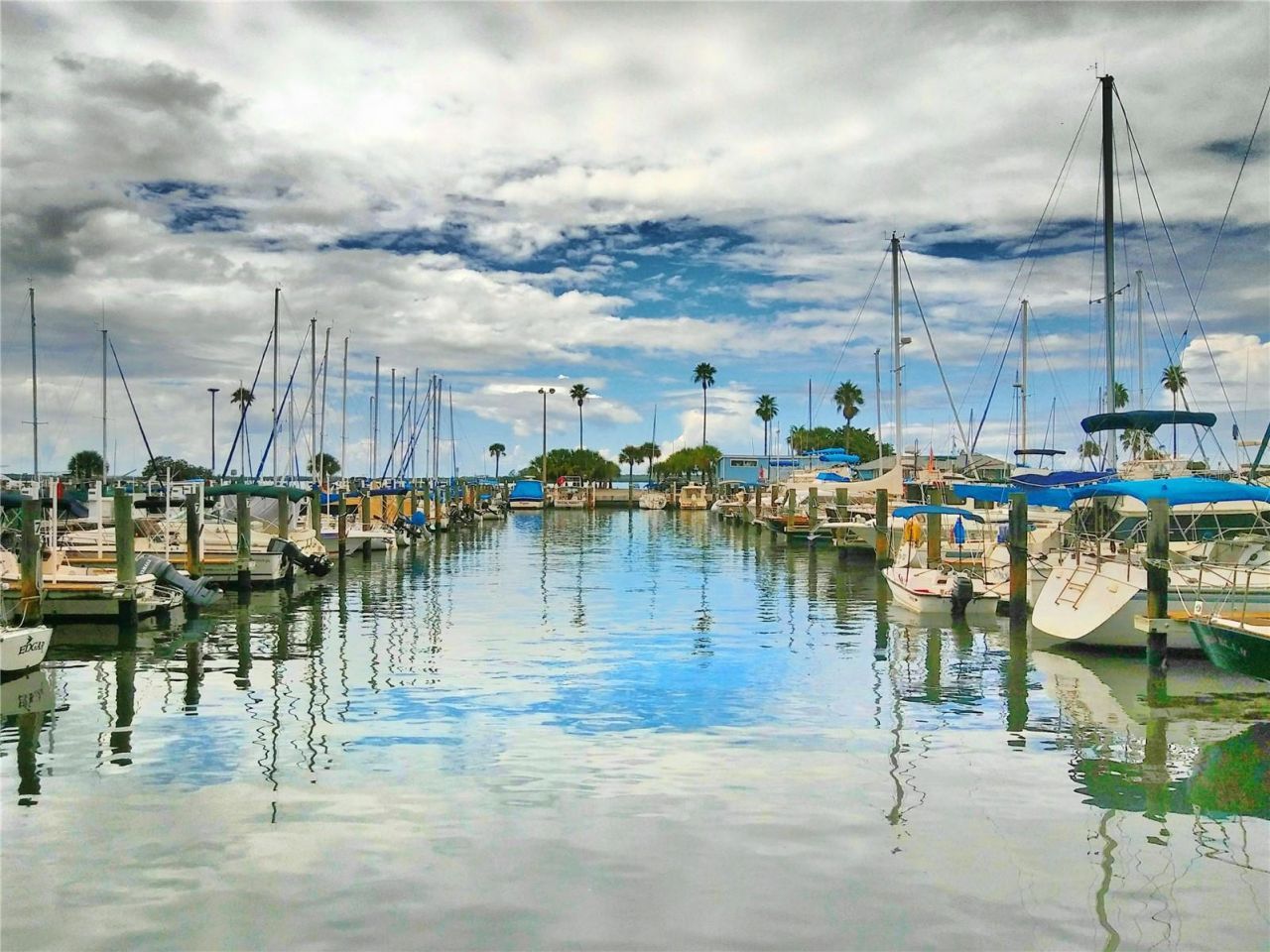 9 Haig Place, Unit 104, Dunedin, FL 34698 Photo