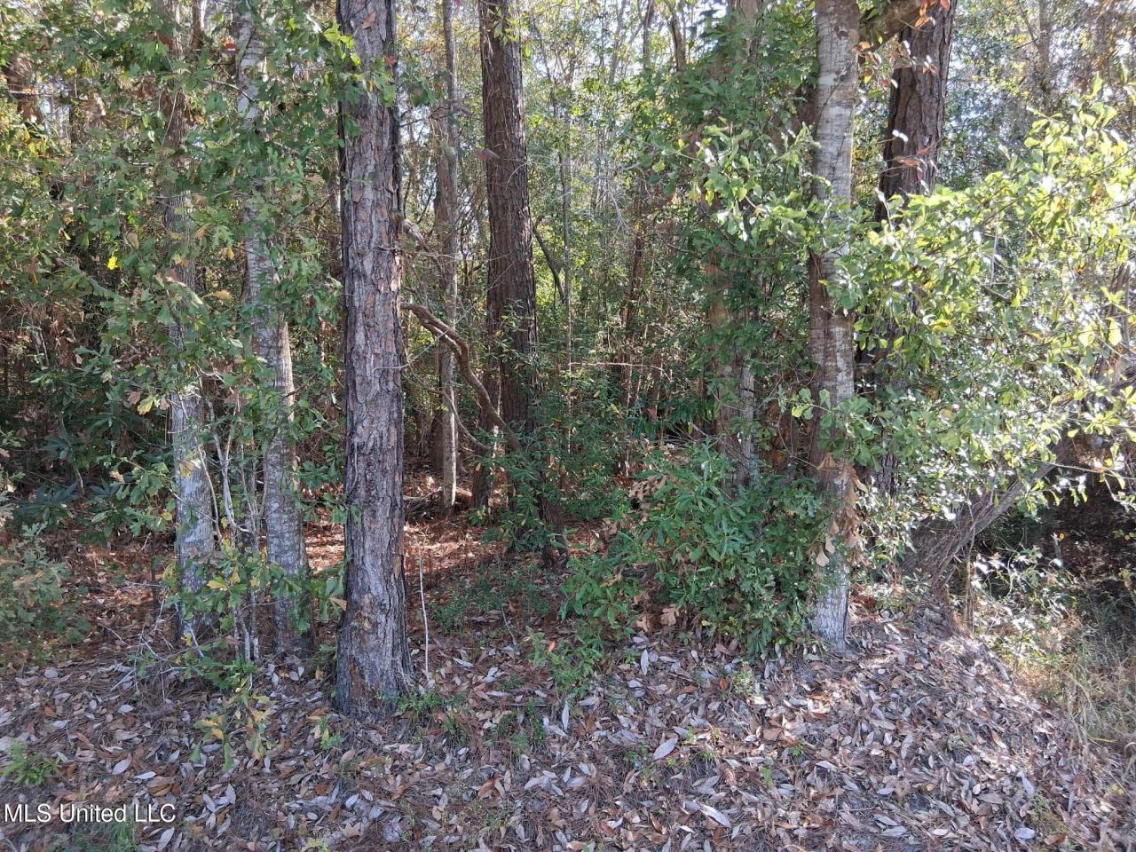 0 Camillia Street, Kiln, MS 39556 Main Photo