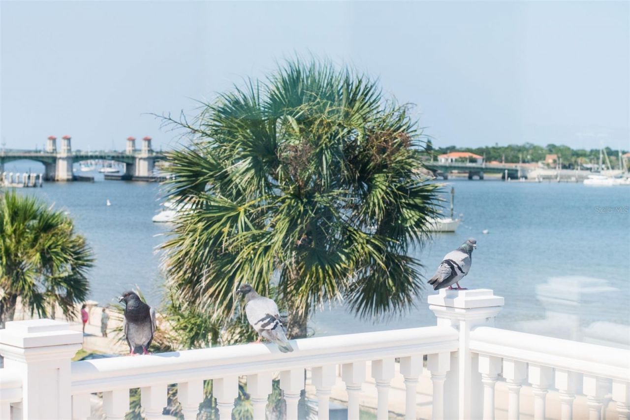 178 Avenida Menendez, Saint Augustine, FL 32084 Photo