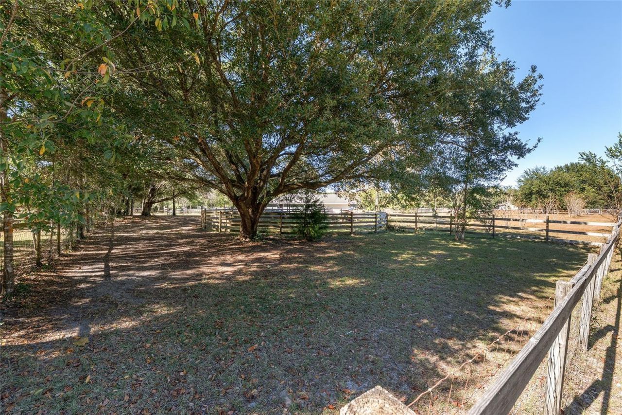 9128 NW 238th Street, Alachua, FL 32615 Photo