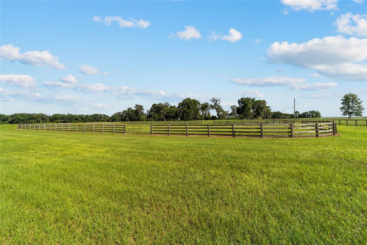 17176 N Us Highway 441, Reddick, FL 32686 Photo