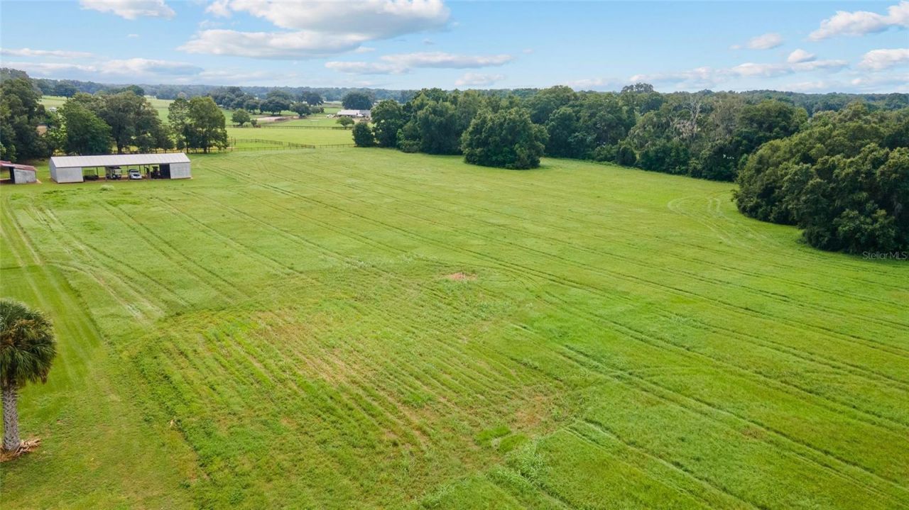 17176 N Us Highway 441, Reddick, FL 32686 Photo