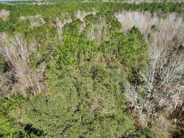 2894 SW Overstreet Avenue , Greenville, FL 32331