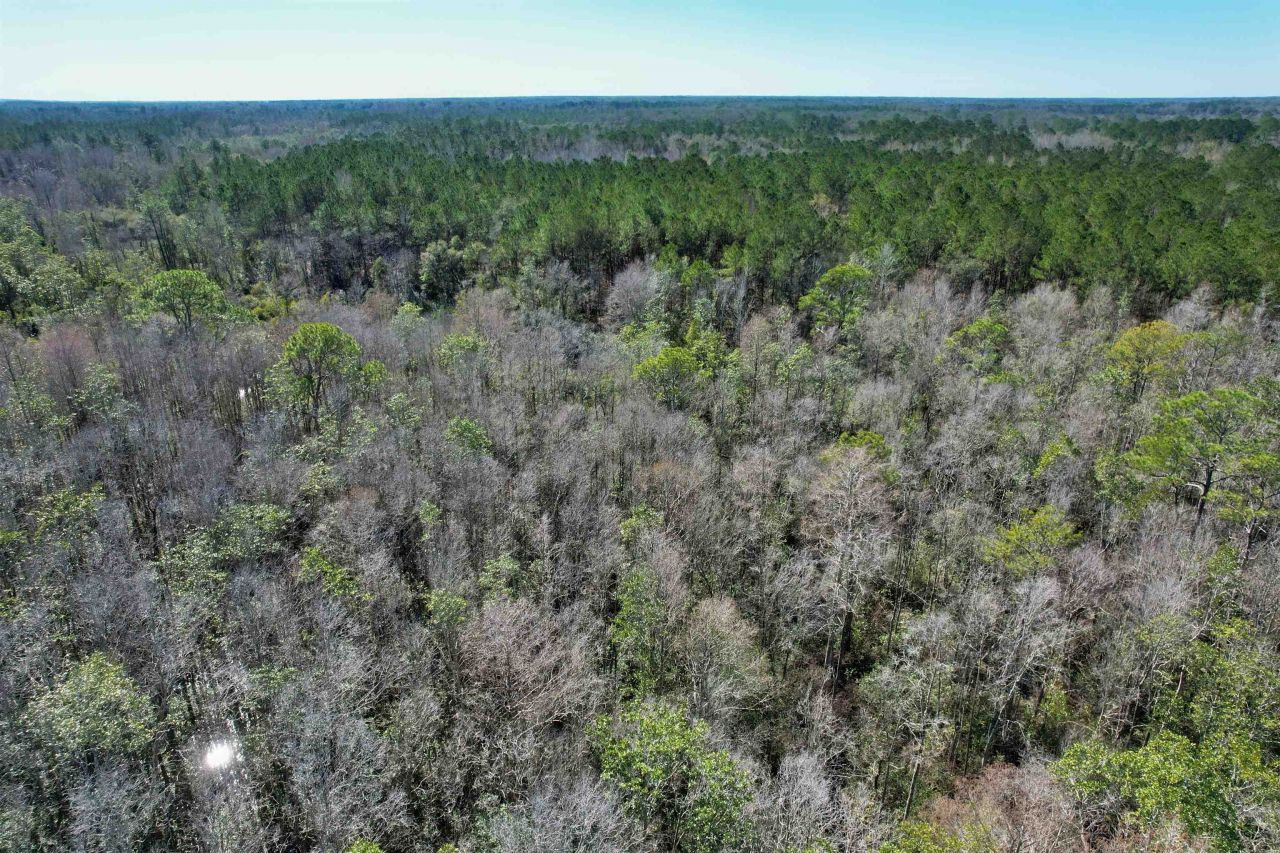 2894 SW Overstreet Avenue , Greenville, FL 32331 Photo